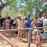 Acumulado de turistas em todo o ano não extrapola acordo de gestão compartilhada da ilha. Entretanto, seis meses do ano tiveram mais visitantes que o...