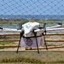 Inovação coloca os drones como intermediários da logística na capital da Bahia; segundo empresa responsável, operação deve chegar a outras cidades do País...