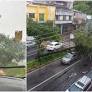 A árvore de grande porte caiu, na tarde desta quarta-feira (22), na avenida Silviano Brandão, devido à chuva forte na capital mineira.