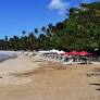 Se você está planejando um verão inesquecível, a Catraca Livre preparou uma lista com 5 ilhas na Bahia que vão encantar qualquer viajante. Entre águas.
