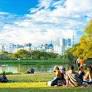 O Parque Ibirapuera é, sem dúvida, o parque mais emblemático de São Paulo e um dos principais pontos turísticos da cidade. Inaugurado em 1954 para comemorar...
