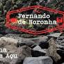 Nem só com a praia mais linda do mundo e com águas de alta visibilidade se faz turismo em Fernando de Noronha. A 545 km do Recife, capital de Pernambuco,...