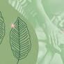 Com a participação da FecomercioSP, encontro discute as mudanças climáticas com foco na transformação ecológica.