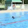 A Secretaria de Esporte e Lazer do Distrito Federal, em parceria com o Sesi (Serviço Social da Indústria), abrirá 144 vagas para aulas de natação e...