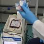 Vinte vagas extras serão abertas para doadores de sangue neste sábado (18), no Hemocentro Regional de Caxias do Sul (Hemocs). Ao todo, serão 80 vagas.