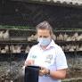 Ações rápidas e estratégicas integram plano nacional de defesa sanitária animal, garantindo biossegurança e prevenindo impactos econômicos negativos.