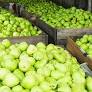De acordo com o Boletim Semanal de Conjuntura Agropecuária, divulgado pelo Departamento de Economia Rural (Deral) nesta quinta-feira (23), a produção de...