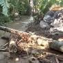 No final da tarde dessa quinta-feira (16), uma guarnição da Companhia Independente de Polícia de Proteção Ambiental (CIPPA) deslocou até uma localidade no...