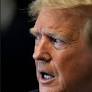 O presidente dos Estados Unidos, Donald Trump, disse na noite da segunda-feira, 27, que a Microsoft está entre as empresas americanas que poderiam assumir o...