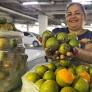 Nesta semana, a Agência de Desenvolvimento Sustentável do Amazonas (ADS) dará continuidade às tradicionais Feiras de Produtos Regionais, promovendo o acesso...