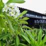 Localizada na orla de Farol de São Tomé, a Casa de Cultura Félix Carneiro receberá, nesta quarta-feira (22), diversas atividades gratuitas. As cri.