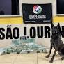 Motorista foi preso pela polícia após os cães farejadores indicarem a presença de drogas escondidas na carga.