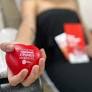 A cada doação de sangue, renova-se o estoque de esperança para aqueles que lutam pela vida. Ciente da importância dessa ação solidária, o Grau Técnico...