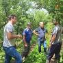 Produtores de fruta, que residem no interior do município, relataram a perda da totalidade da safra de ameixa. Alexandra Baldisserotto/DIVULGAÇÃO/CIDADES.