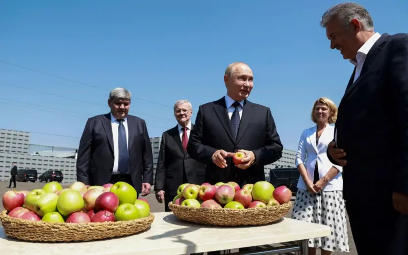 Grão-de-bico por batata: as empresas russas que estão usando escambo para evitar sanções pela guerra na Ucrânia
