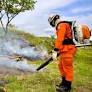 Nos dias 28 e 29 de janeiro, Salvador receberá IV Seminário Internacional sobre Prevenção, Monitoramento e Combate aos Incêndios Florestais, promovido.