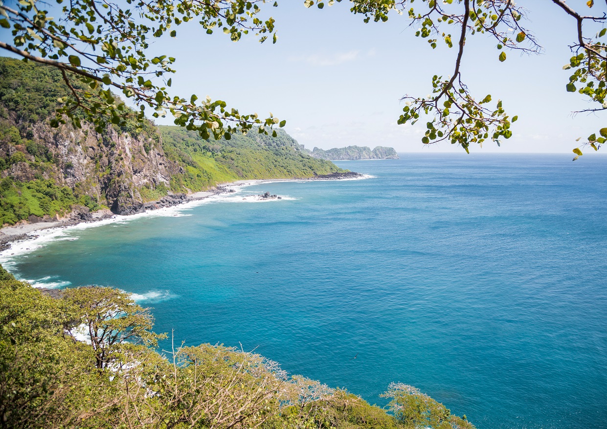 Baía dos Golfinhos Por MTur Destinos
