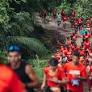 Caio Fulgêncio 28 de janeiro de 2025 - 10h00. Olypikus - Corrida. (Crédito: Divulgação). A Olympikus, ainda em novembro de 2024, durante a segunda edição do...