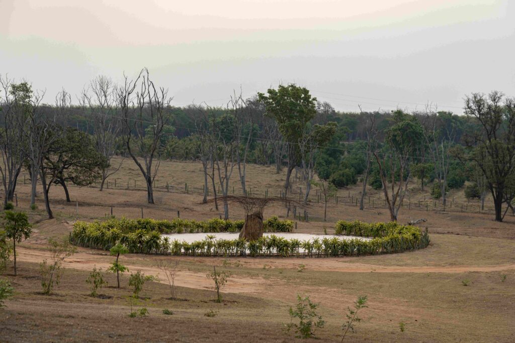 Jardim da Denise, no Parque Campana • Tuca Reines