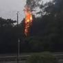 Uma árvore na Beira-Mar Norte, em Florianópolis, foi atingida por um raio no final da tarde desta sexta-feira (24), provocando um incêndio em frente à sede...