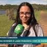 Estudo vai monitorar a presença dos roedores em áreas urbanas de Brasília (DF)