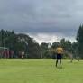 Petterson e Nenê marcaram os gols do Verdão.