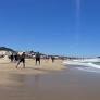 Destino Floripa lança novos canais digitais para oferecer dicas, guias e experiências turísticas na Grande Florianópolis.