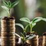 O Brasil, com sua diversidade econômica e cultural, tem se mostrado um terreno fértil para o empreendedorismo. Pesquisa recente destacou algumas cidades...