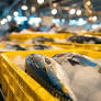 O Ministério da Pesca e Aquicultura (MPA) publicou a Portaria MPA nº 409/2025, que estabelece as normas, critérios e procedimentos para inscrição de pessoas...