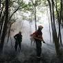MANAUS — O governador do Amazonas, Wilson Lima, anunciou nesta segunda-feira (27) a criação do Comitê Permanente de Enfrentamento a Eventos Climáticos e...