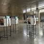 Programação cultural estará espalhada pelas estações de metrô. O Metrô de São Paulo convida os passageiros a celebrar os 471 anos da maior metrópole da...