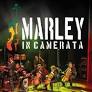 A Camerata Florianópolis, sob a regência do maestro Jeferson Della Rocca, vai recordar os 80 anos de nascimento de Bob Marley em um especial do ícone do...