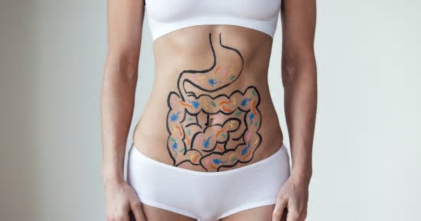 Saiba porque o intestino é considerado o segundo cérebro e como mantê-lo saudável