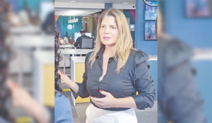 Como investimento-anjo pode fortalecer crescimento de novos negócios em SC, segundo empresária