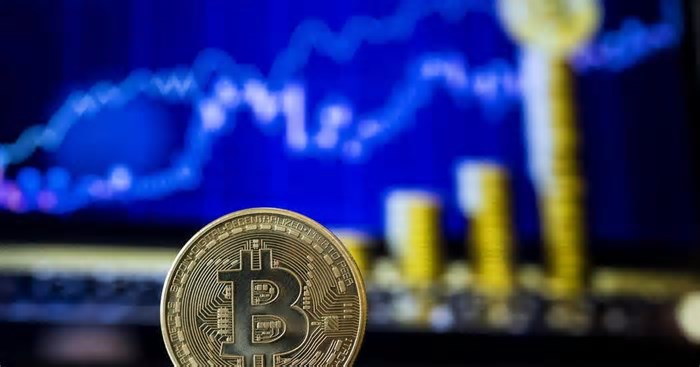 O que são criptomoedas? Entenda como identificar as mais confiáveis para investir