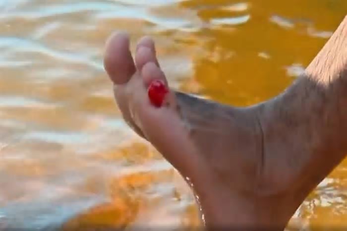 Represa em Itirapina (SP) tem 8 ataques de piranhas em 15 dias