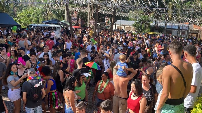Carnaval 2025: confira programação de blocos de rua e festas temáticas na região de Campinas