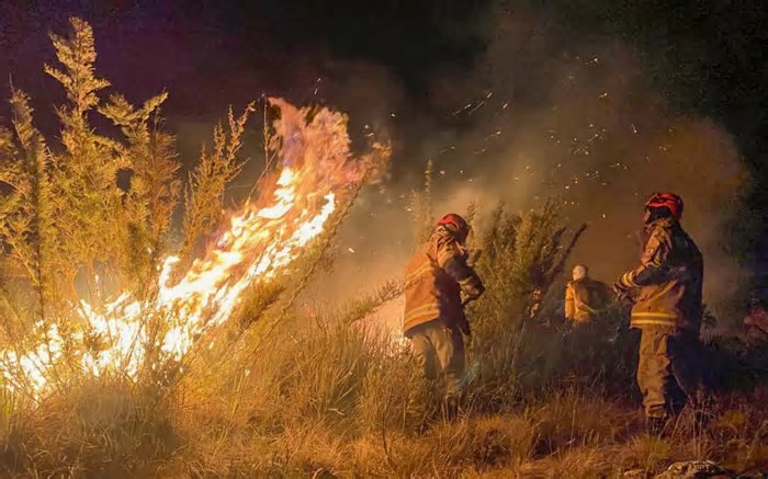 MPRJ irá monitorar estratégias de combate a incêndios no Centro-Sul Fluminense
