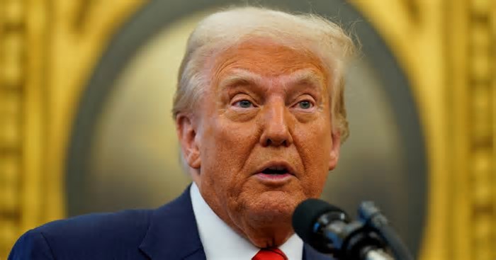 Quais são as terras ‘raras’ da Ucrânia e por que Trump tem interesse nelas?