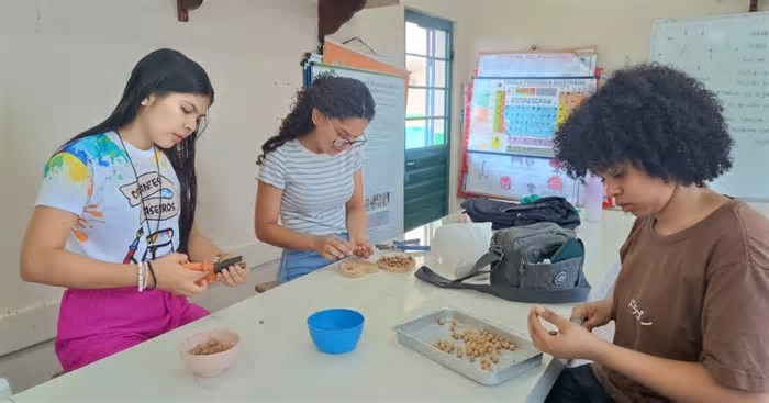 Projetos de literatura e sustentabilidade aproximam à ciência da educação no AM