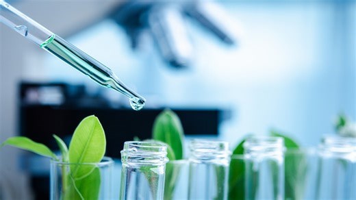 Conferência internacional debate inovação em biofármacos no Ceará