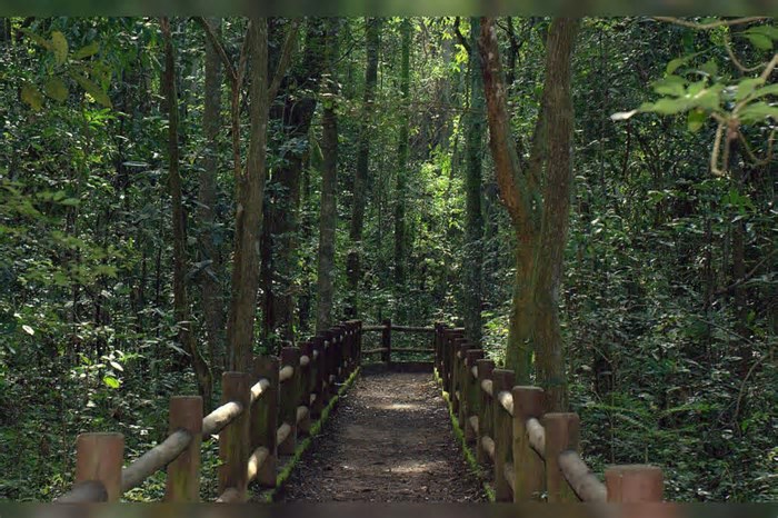 Nova trilha ligará Parque Nacional à Floresta Nacional de Brasília