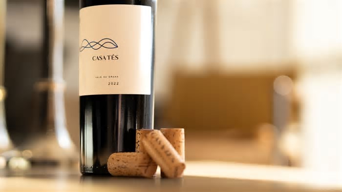 Conheça o vinho feito em SP que foi o primeiro brasileiro na seleção de melhores do mundo, segundo The World’s Best Sommeliers