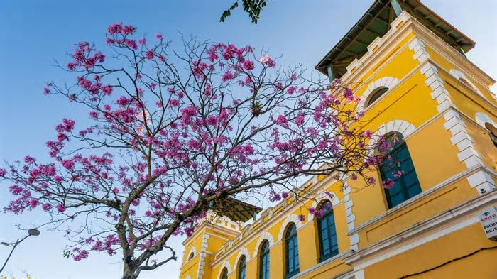 Romance, nostalgia e mais tendências de viagem que vão bombar em 2025