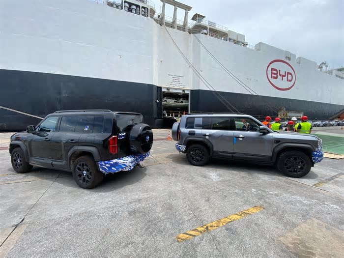 Navio da BYD atraca pela segunda vez no Brasil com 5,5 mil carros