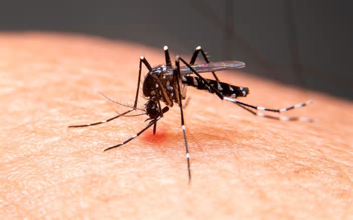 Unidades de saúde passam a fazer teste rápido para dengue do tipo A a partir desta quinta-feira, em Presidente Prudente