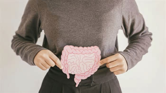 Veja hábitos que pioram a saúde do seu intestino e te deixam ‘enfezado’