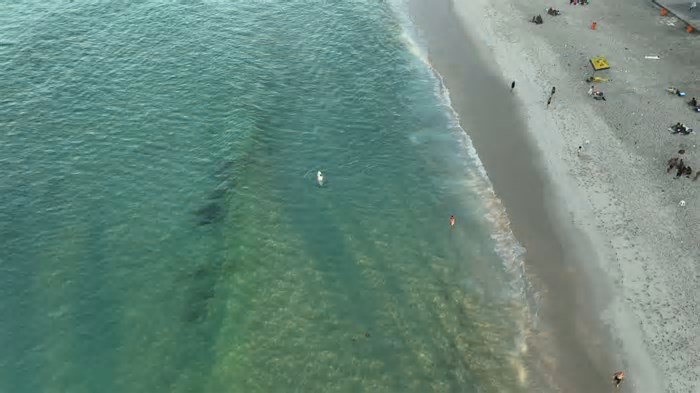 Águas cristalinas transformam o Rio em 'Caribe de Janeiro'