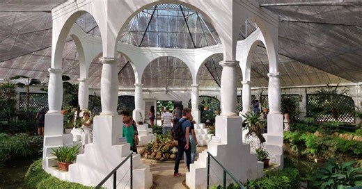 Jardim Botânico recebe a Semana de Darwin e expõe bromélias e orquídeas