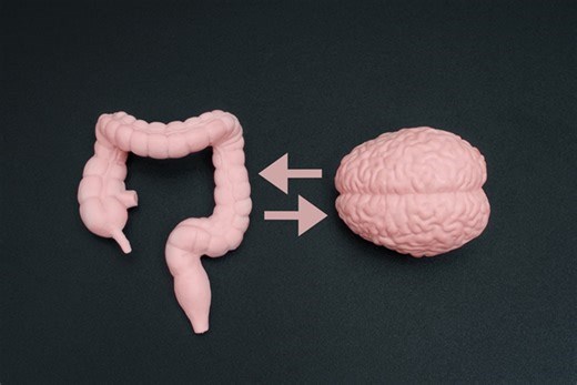 Qual é a importância do intestino na saúde da mente, segundo a ciência